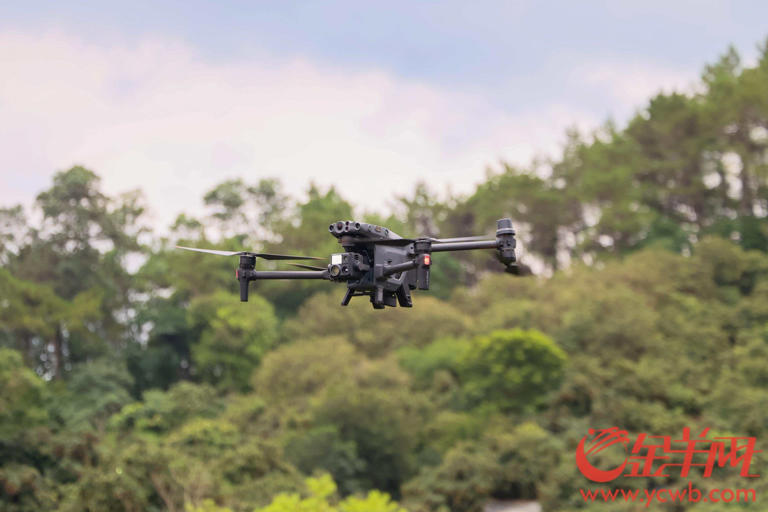 荔枝采摘机器人的背后：科技重塑荔枝产业的经济逻辑(图4)